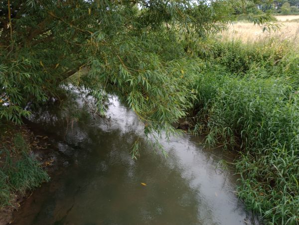 River Tove